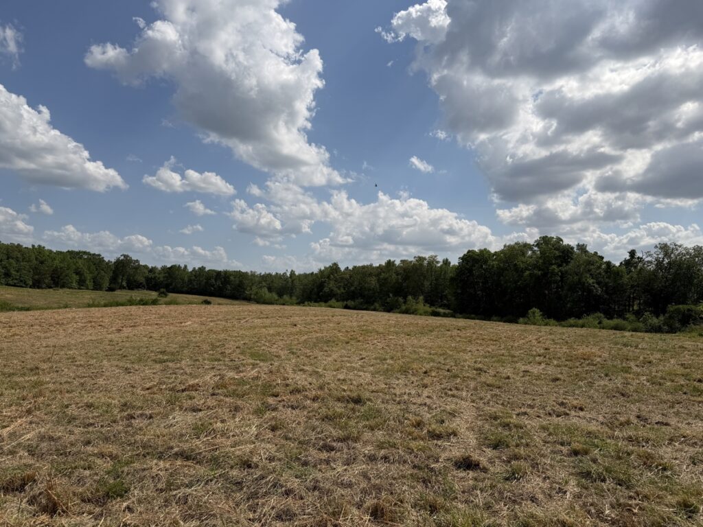 a5189b88-c050-4d55-8fe9-c35de85553d4.jpg