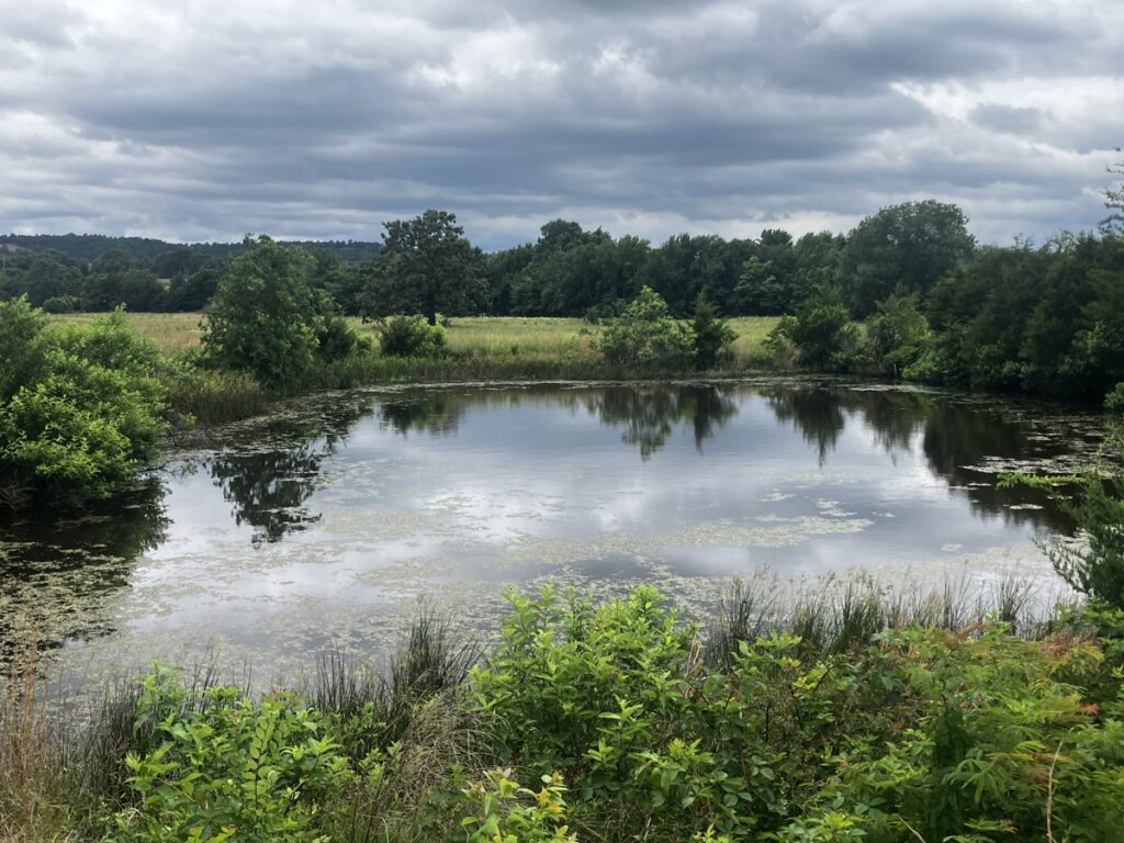 Property photo for land for sale in  County Oklahoma