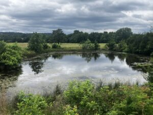 Property photo for land for sale in  County Oklahoma