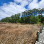 Property photo for land for sale in Carteret County North Carolina
