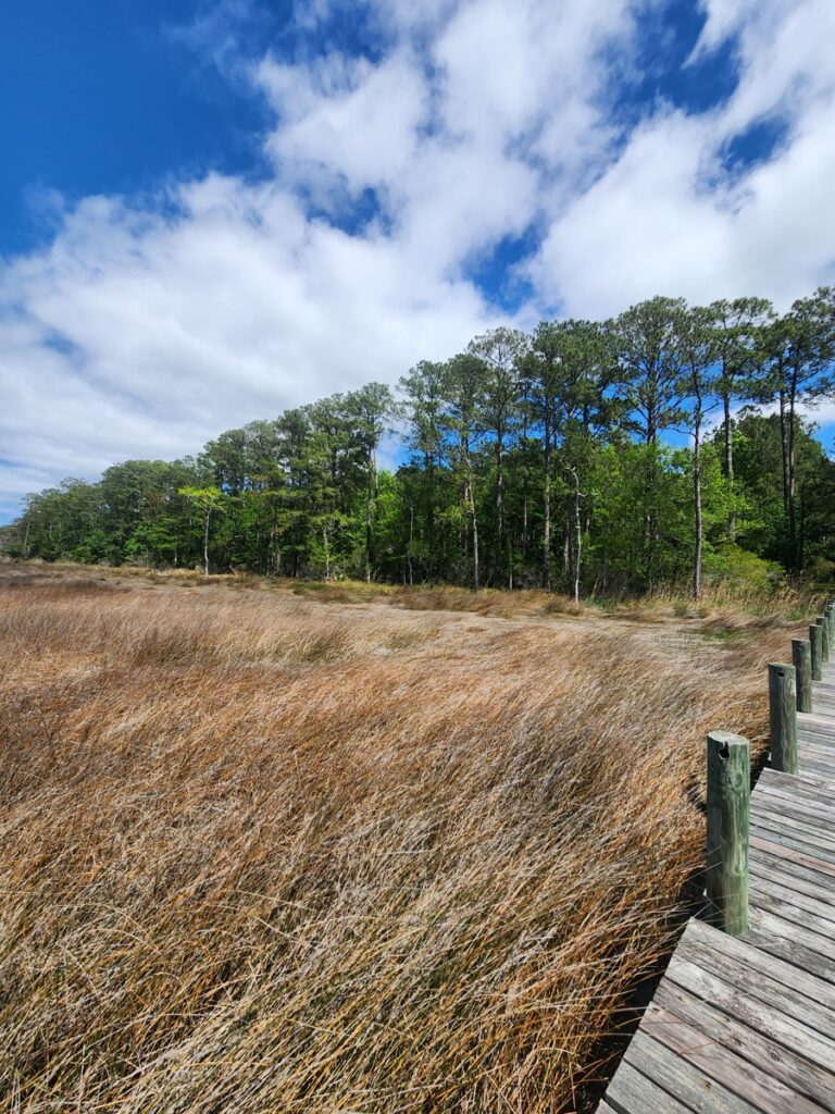 Property photo for land for sale in Carteret County North Carolina