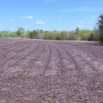 Property photo for land for sale in Nodaway County Missouri