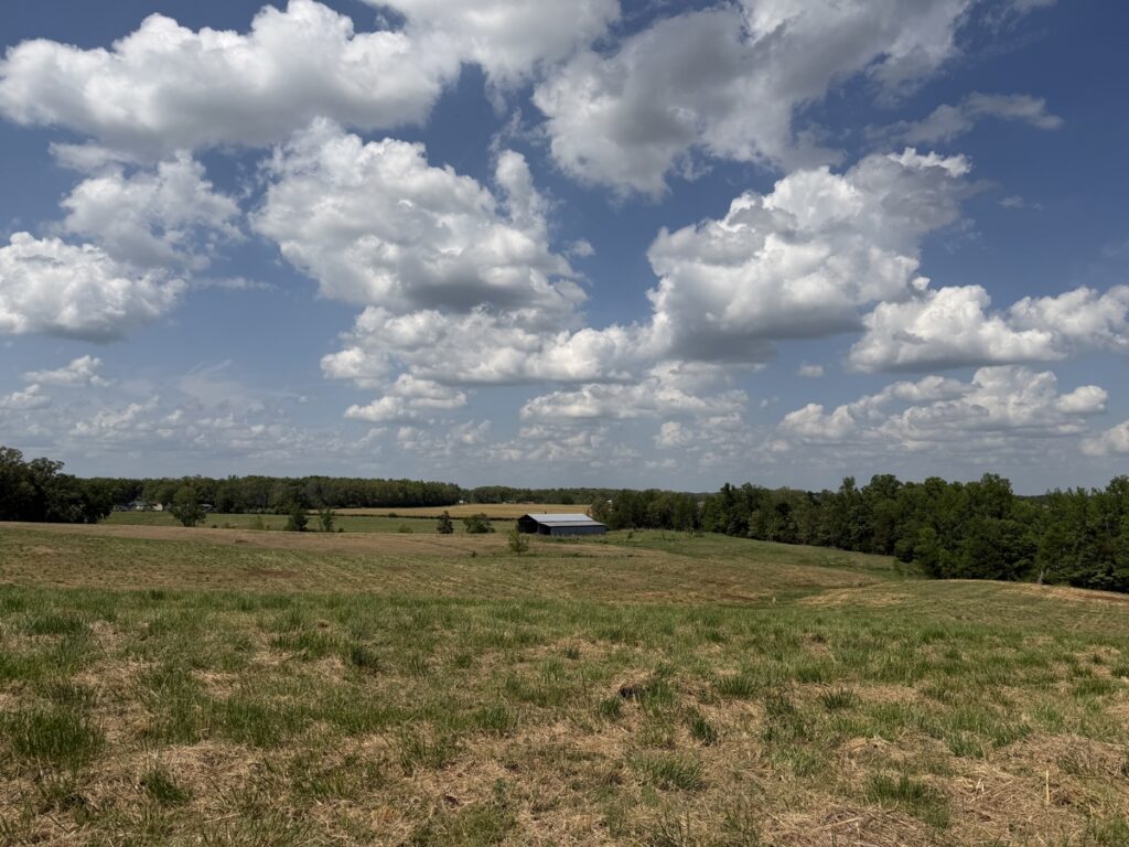 a5e2532e-63d5-4e70-8146-631055e9b2b3.jpg