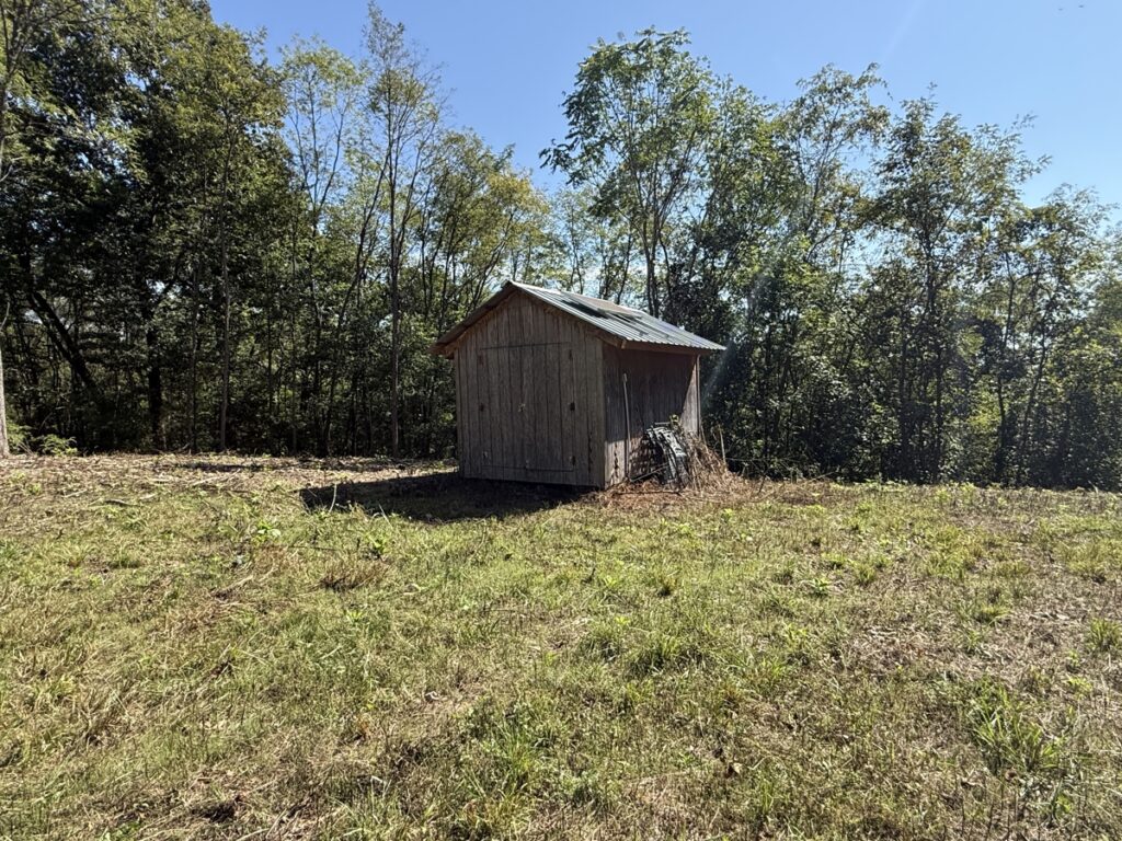 a6d6084a-ad19-47a1-a551-6237ae48bd68.jpg