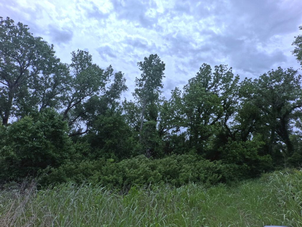 a77ab99f-4062-41ff-905f-2329008be5d9.jpg