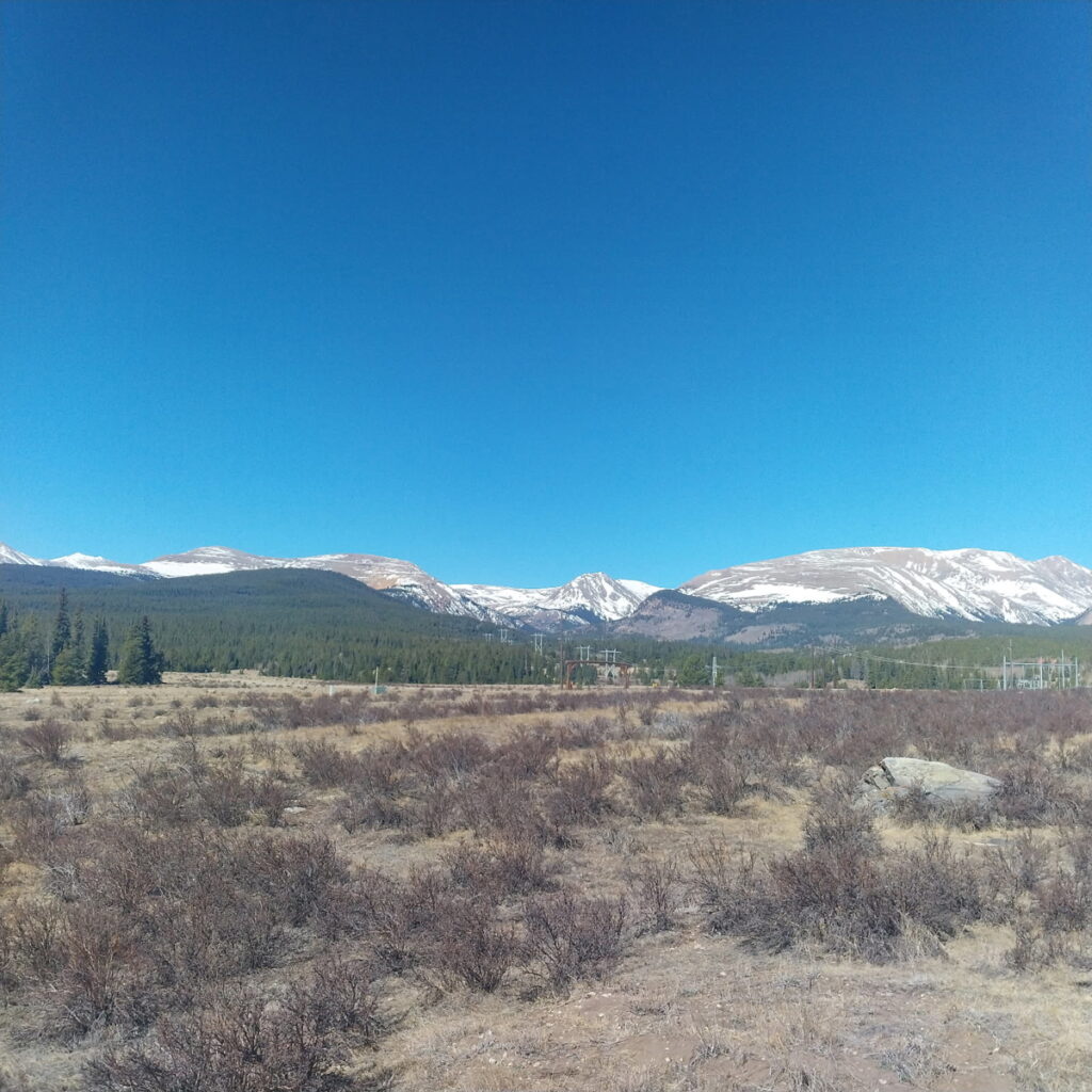 a79a4770-e8fe-4e4d-9375-2475c231aafb.jpg