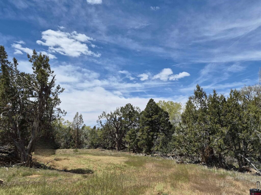 Property photo for land for sale in Montezuma County Colorado