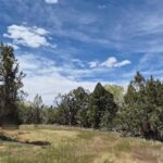 Property photo for land for sale in Montezuma County Colorado