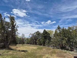 Property photo for land for sale in Montezuma County Colorado