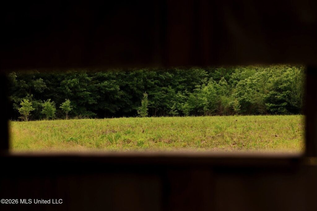 a7fe8ce4-d862-4a94-b7c0-86cc7bf6b172.jpg