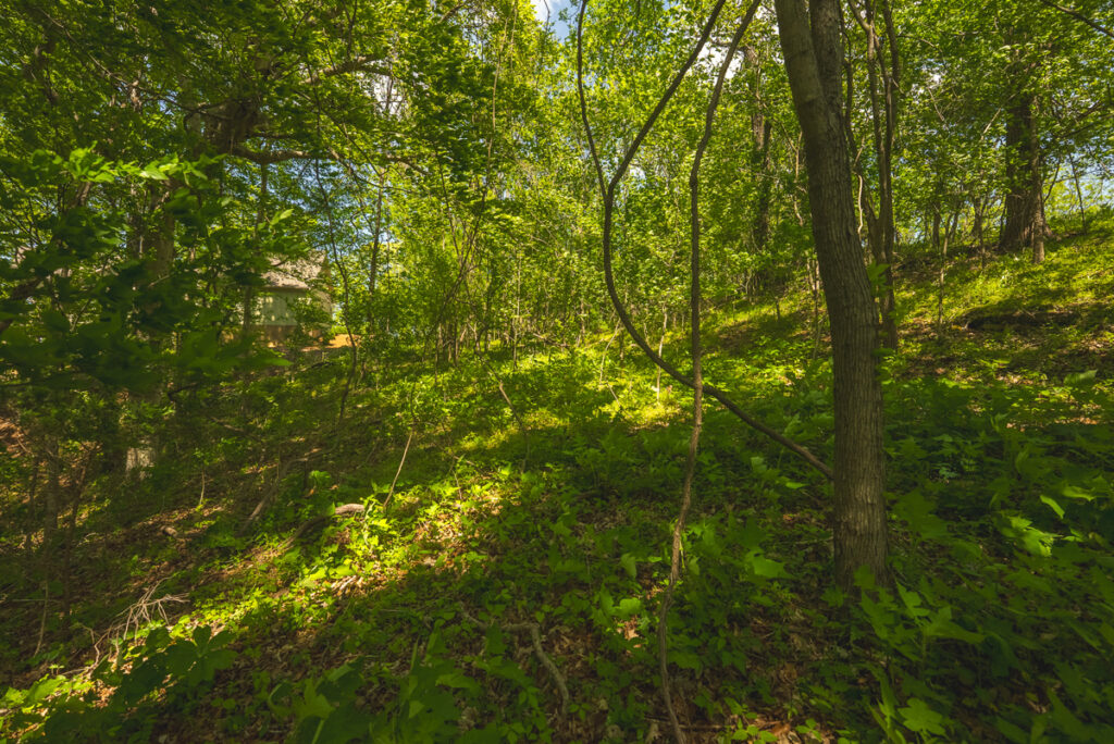 a8239598-c4f9-468b-b029-f05366bba355.jpg