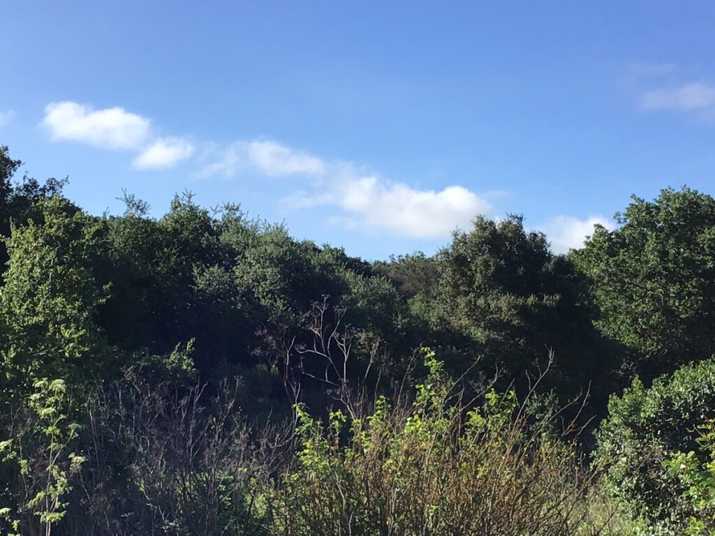 a836f8eb-bf68-4206-be46-96c020a110d4.jpg