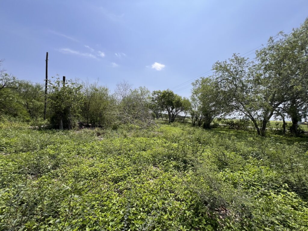 a924a2f7-5e05-42c1-8a11-85b99184f23b.jpg
