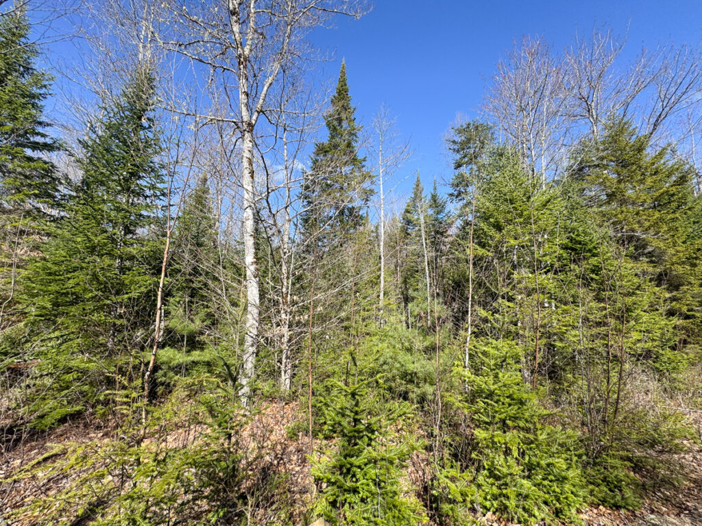 a94338bf-90ef-4951-9a29-3b04f563a450.jpg