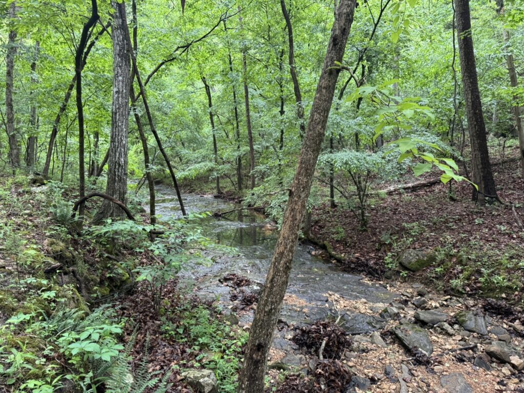 Property photo for land for sale in Izard County Arkansas