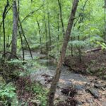 Property photo for land for sale in Izard County Arkansas
