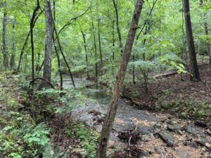 Property photo for land for sale in Izard County Arkansas