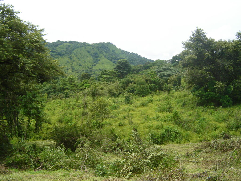 acc1cb37-9135-459c-888e-1c01607e9525.jpg