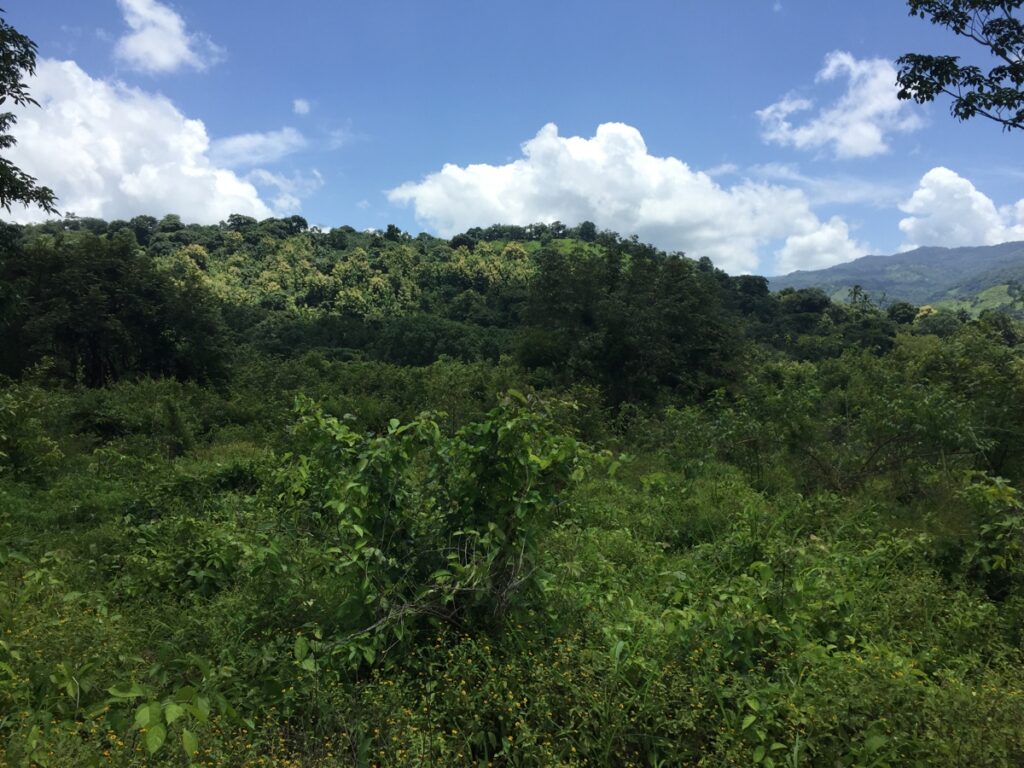 af2a3983-78f6-4232-9e00-1327288f0c52.jpg