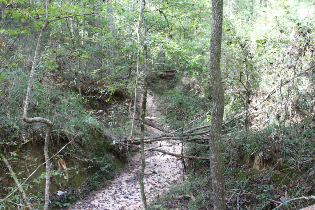 af324616-377b-4434-988c-d2dd03699859.jpg