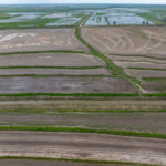 Property photo for land for sale in Jefferson Davis County Louisiana