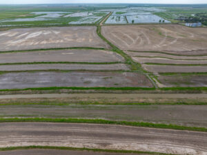 Property photo for land for sale in Jefferson Davis County Louisiana