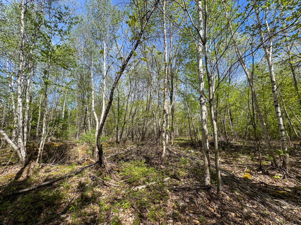 b024432d-9e1f-44c1-a275-27d766c6d6b8.jpg