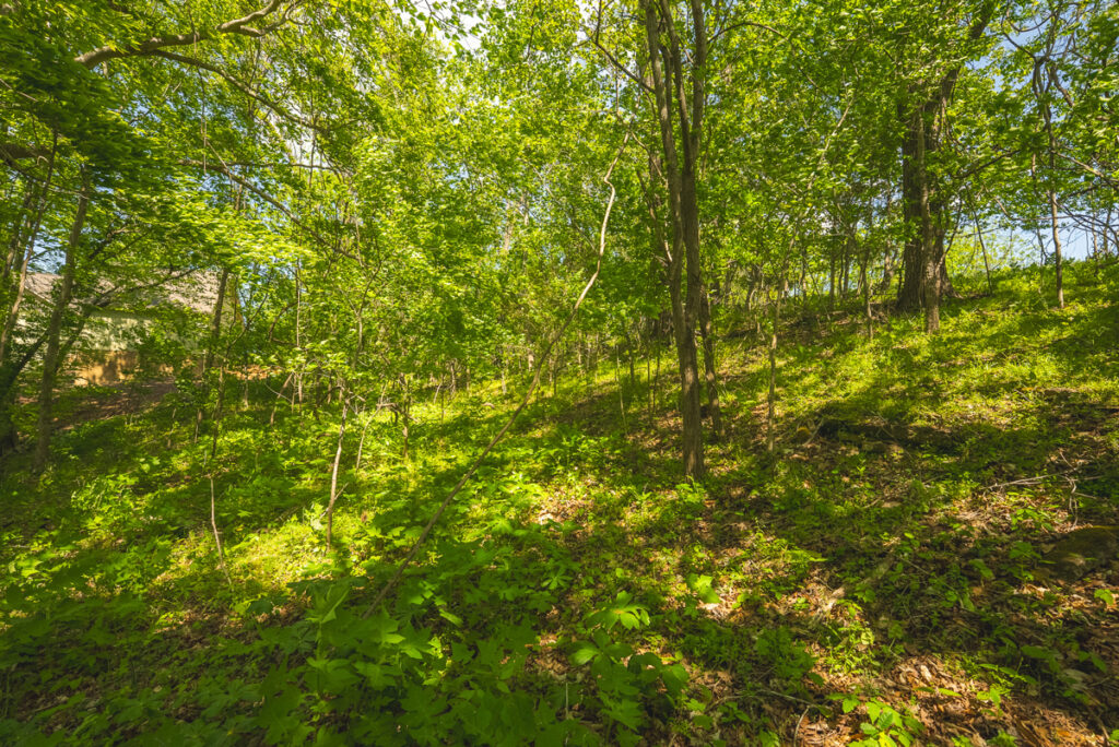 b031ca65-4387-4027-8293-af50cb8a707f.jpg