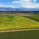 Property photo for land for sale in Montrose County Colorado