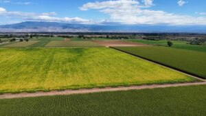 Property photo for land for sale in Montrose County Colorado