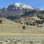 Property photo for land for sale in Modoc County California