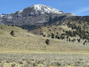 Property photo for land for sale in Modoc County California