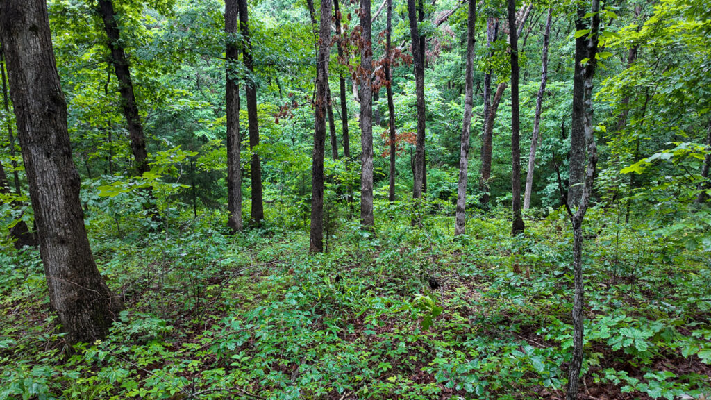 b3ffa455-4182-41ca-b3b7-31554555f564.jpg