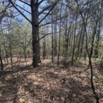Property photo for land for sale in Lewis County Tennessee