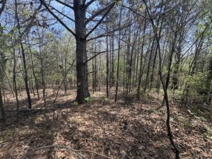 Property photo for land for sale in Lewis County Tennessee