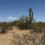 Property photo for land for sale in  County Arizona