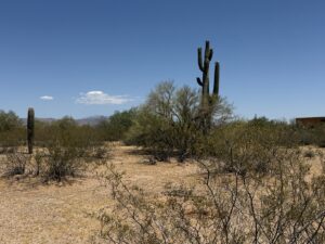 Property photo for land for sale in  County Arizona