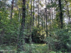 Property photo for land for sale in Franklin County Mississippi