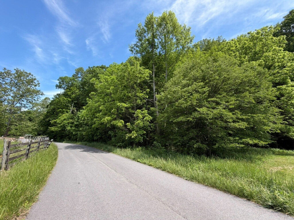 b53d331c-64aa-4b13-bedb-411eb71ae237.jpg
