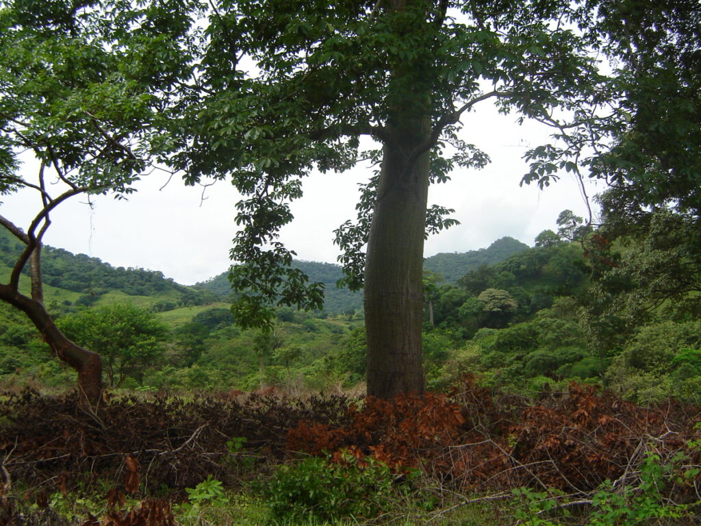 b9a2300b-fbaf-4967-8d66-1a2c4c4ac235.jpg
