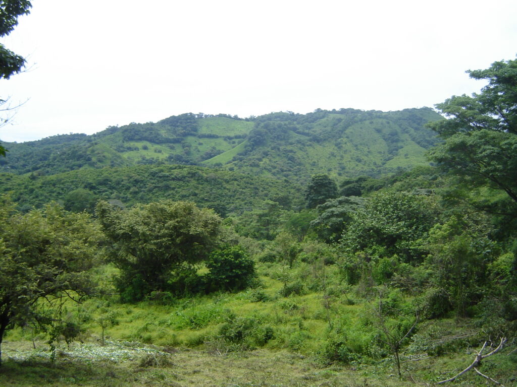 bbd5faa4-ee51-4634-9b4d-44dcdb14f063.jpg