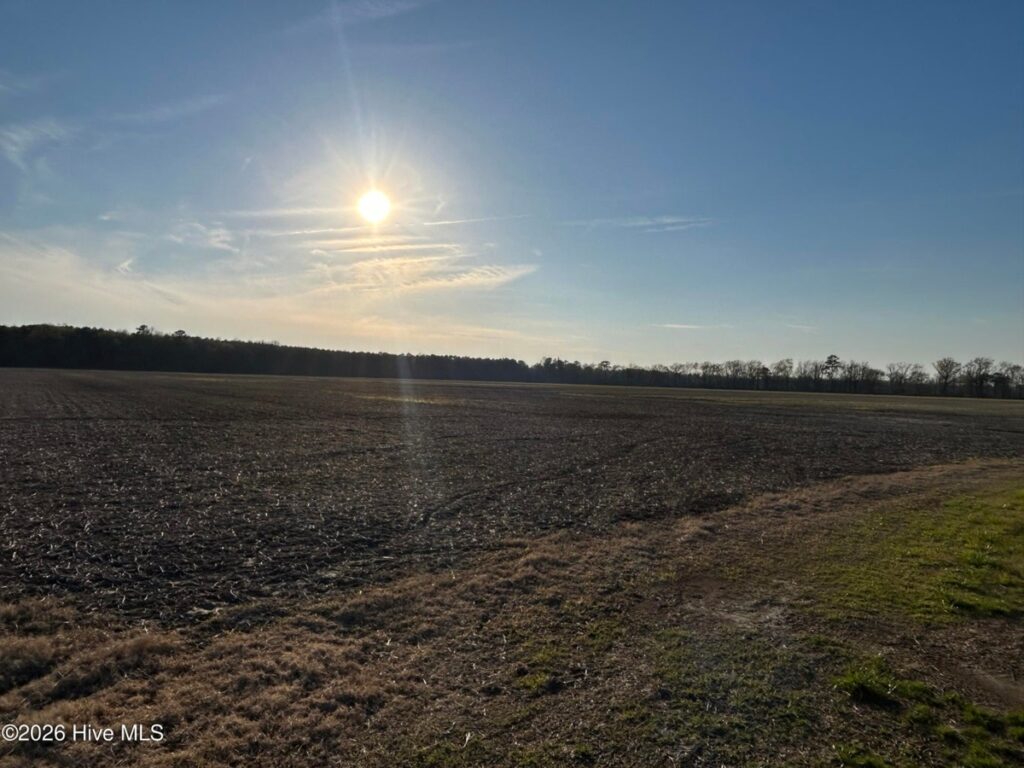 Property photo for land for sale in Perquimans County North Carolina