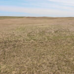Property photo for land for sale in Daniels County Montana