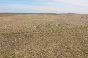 Property photo for land for sale in Daniels County Montana