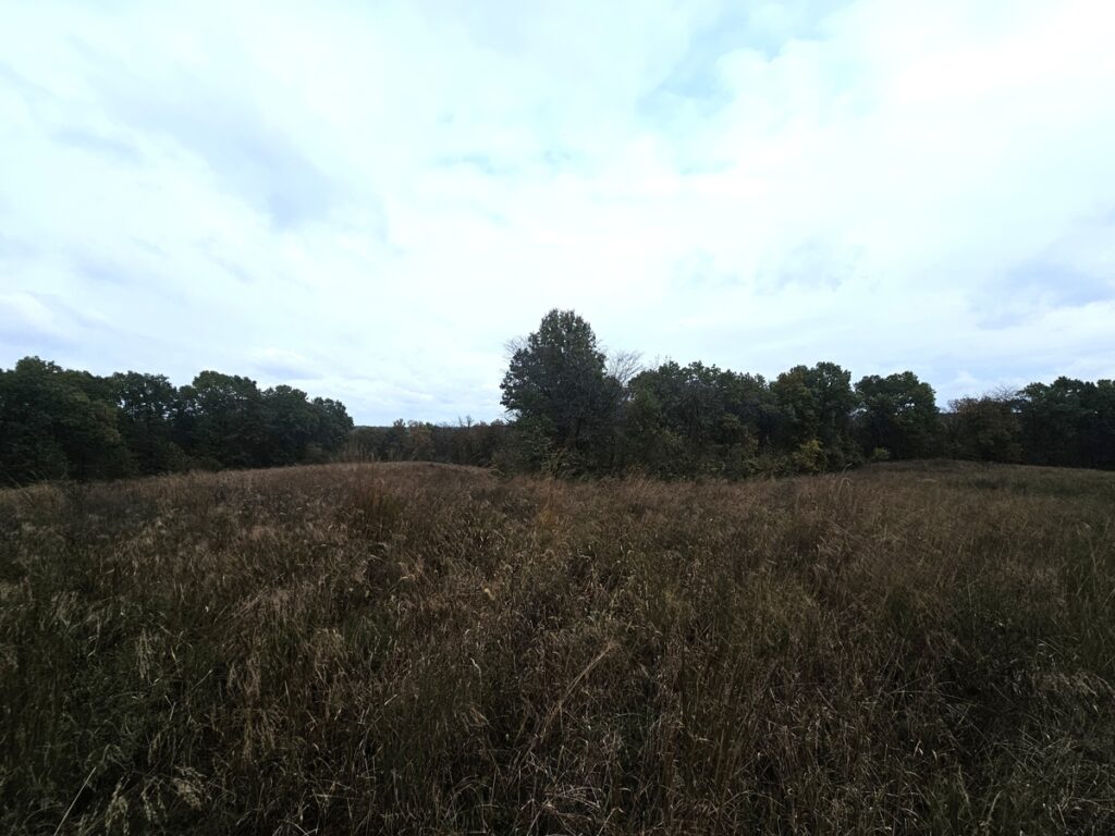 bf88f4e6-3716-47bd-94e0-ffeaae8f84c3.jpg