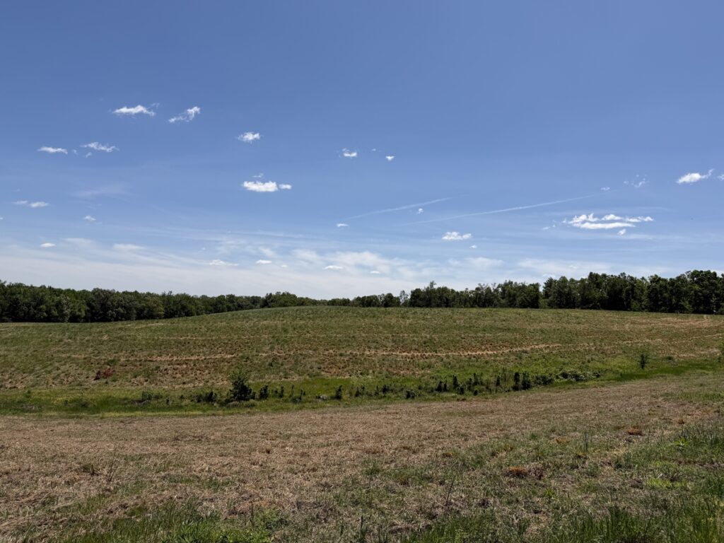 c02e1451-bc83-4a84-83c7-f18be3405d94.jpg