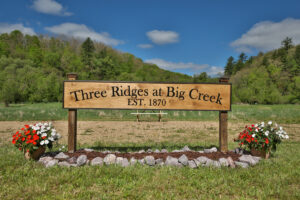 Property photo for land for sale in Juneau County Wisconsin
