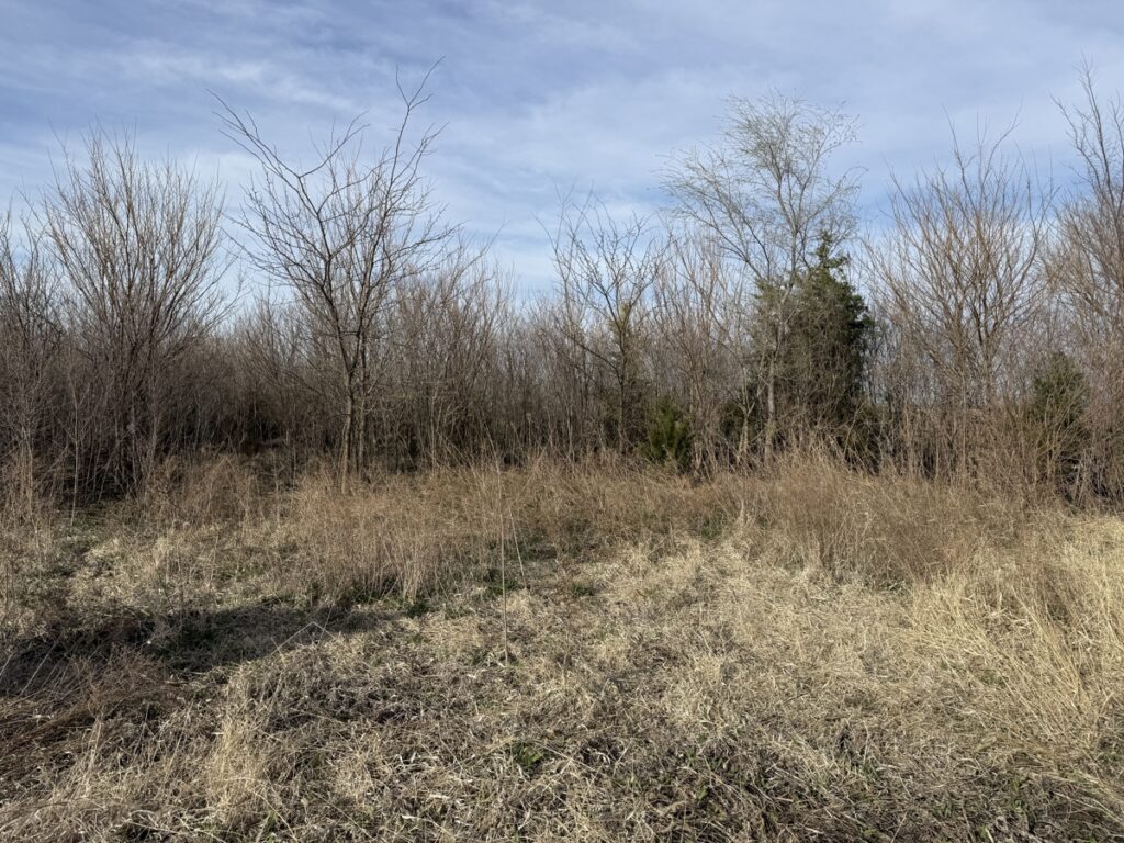 c2cc2507-d71d-43c4-ba40-ddd999229eb5.jpg