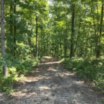 Property photo for land for sale in Humphreys County Tennessee