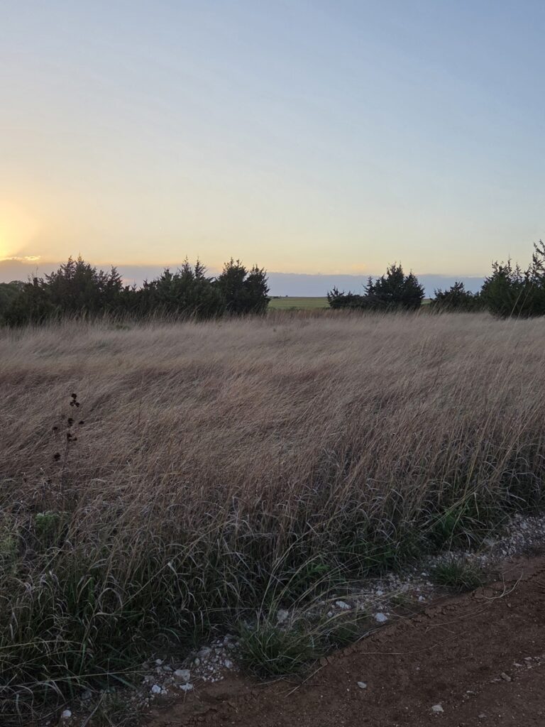 c4c55890-d7ae-434e-a82b-4a1bee639527.jpg